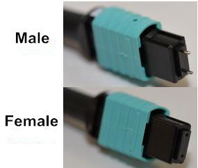 male and female MTP connector in MTP cabling