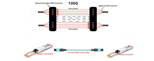 100GBase-SR4 QSFP28 Cabling Solution