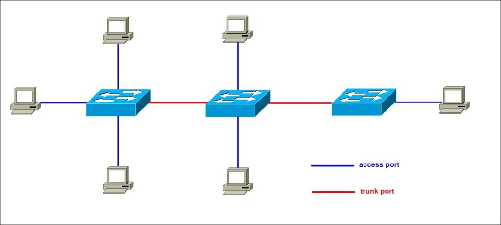 switch port types: trunk port vs. access port